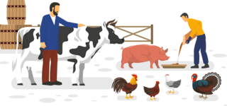 Animal welfare in livestock farming