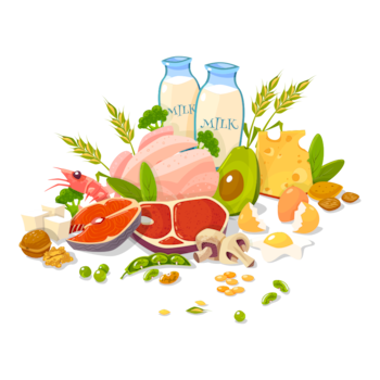 Categories of Proteins