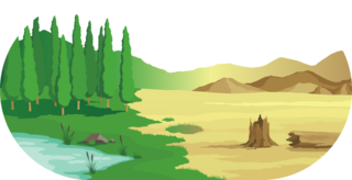 Desertification caused by deforestation