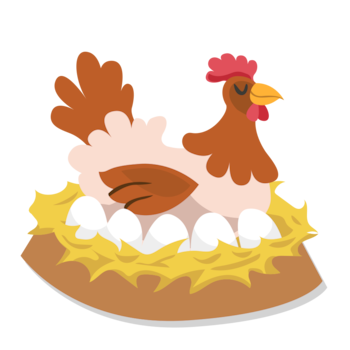 Eggs from hens raised organically