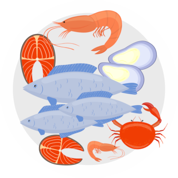 Selection of sea food