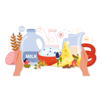 Different Sources of Protein