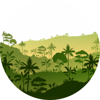 Wooded hills