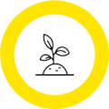 Grow Your Own